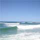 A beach at Port Macquarie