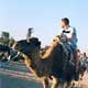 John on a camel in the Sahara