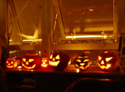 Pumpkin madness