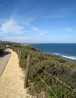 Chris and Chris walking along the clifftop path near Bells Beach