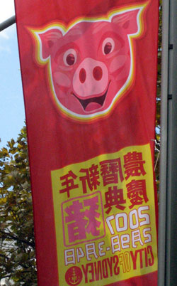 Year of the Pig banner