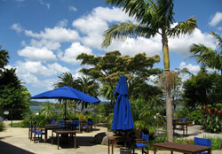 The poolside at our hotel over Christmas