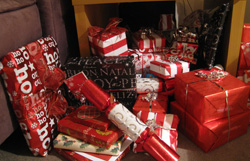 Christmas gifts under our spindly tree