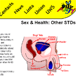 one of the sexual health pages