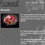 detail from the shop page