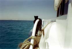 View of the Red Sea from the side of our boat