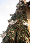 A tree full of doves on the Nativity Facade